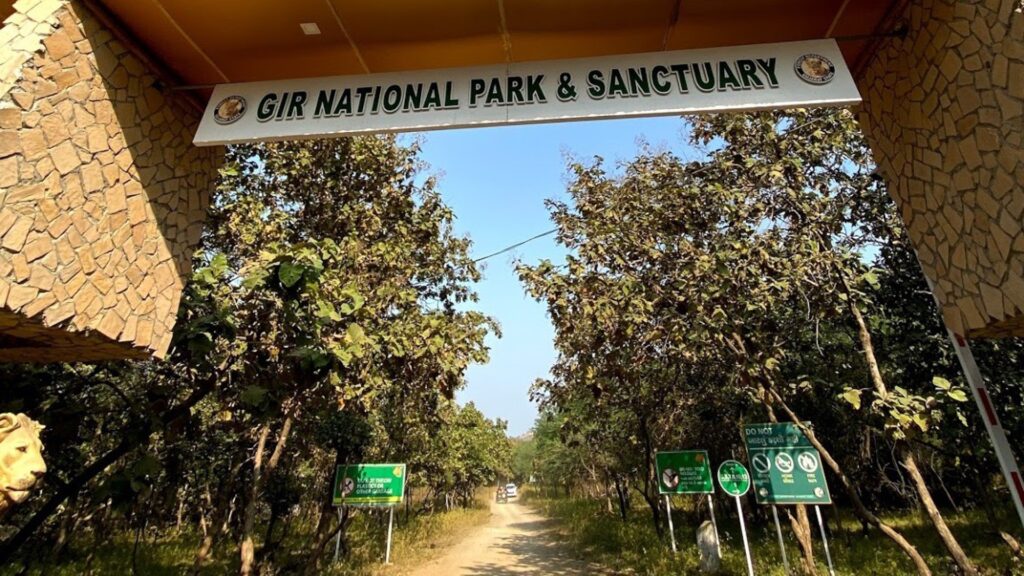 Gir National Park
