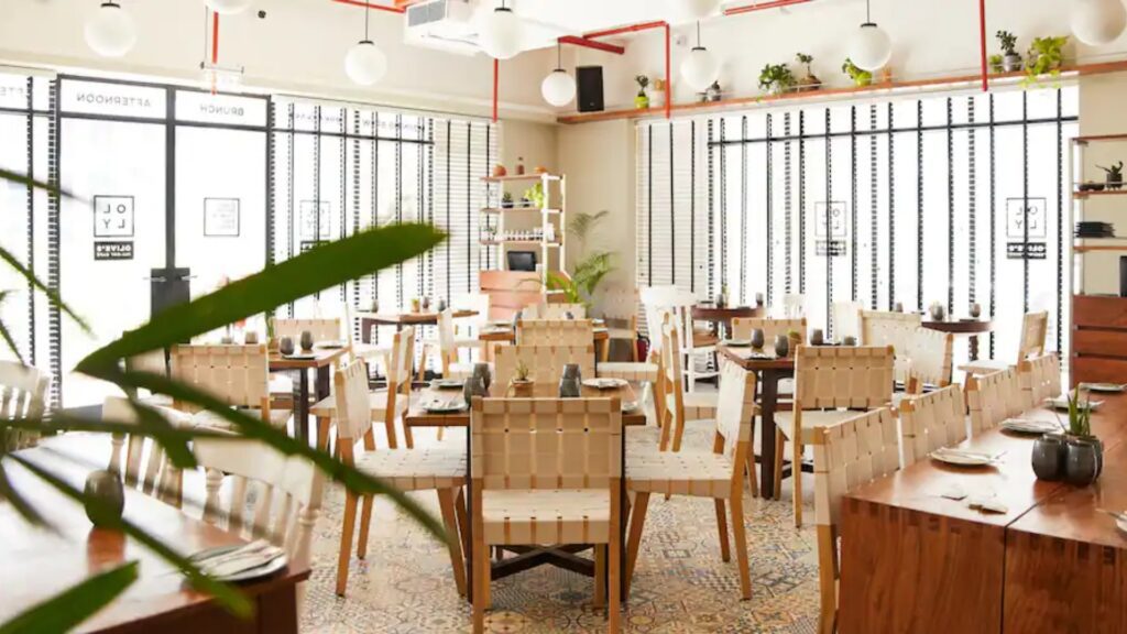 Olly - Olive's All Day Cafe & Bar