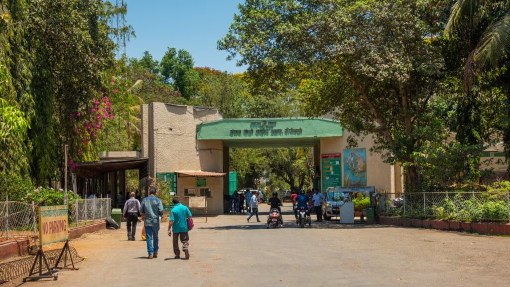 Sanjay Gandhi National Park (SGNP)
